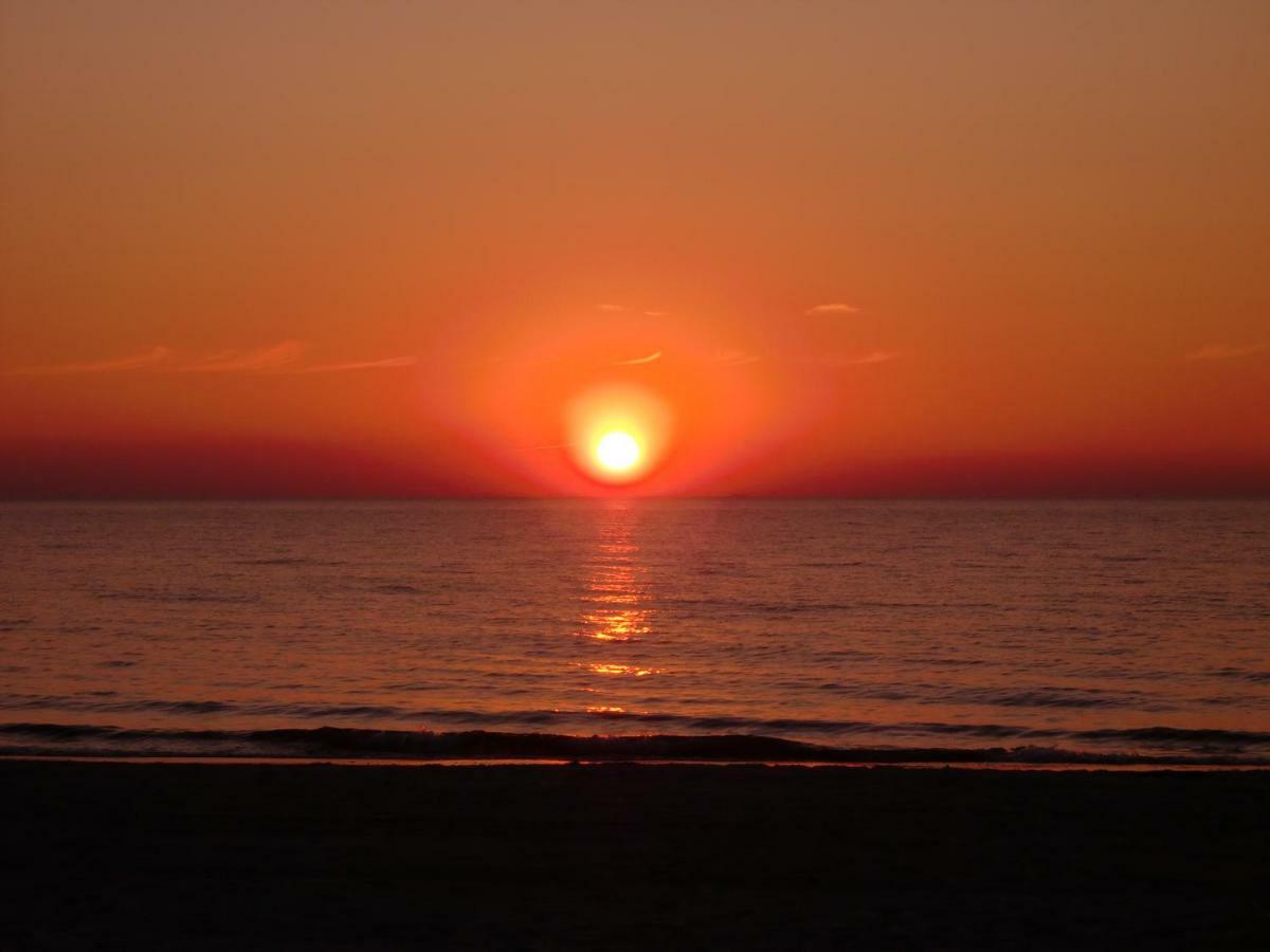 Am Ostseestrand Zingst Buitenkant foto
